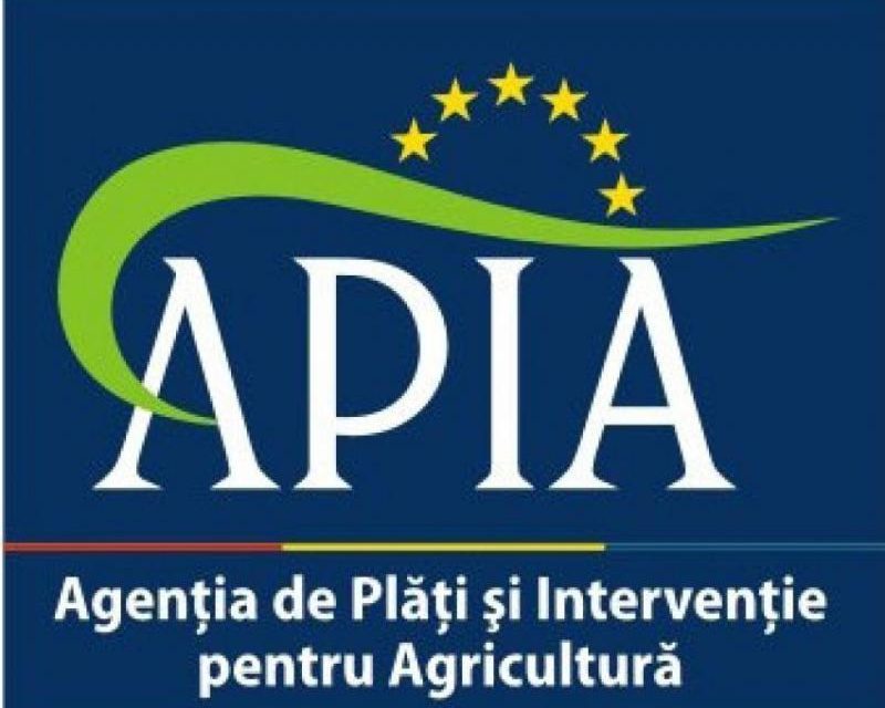 Anunț APIA – suspendarea primirii cererilor unice de plată
